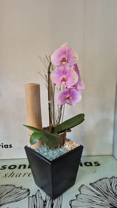 LARNACH (SOLO TOLUCA Y SUS ALREDEDORES)